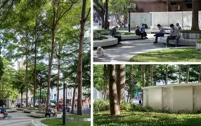 蝇蚋是什么意思 蝇蚋是什么意思